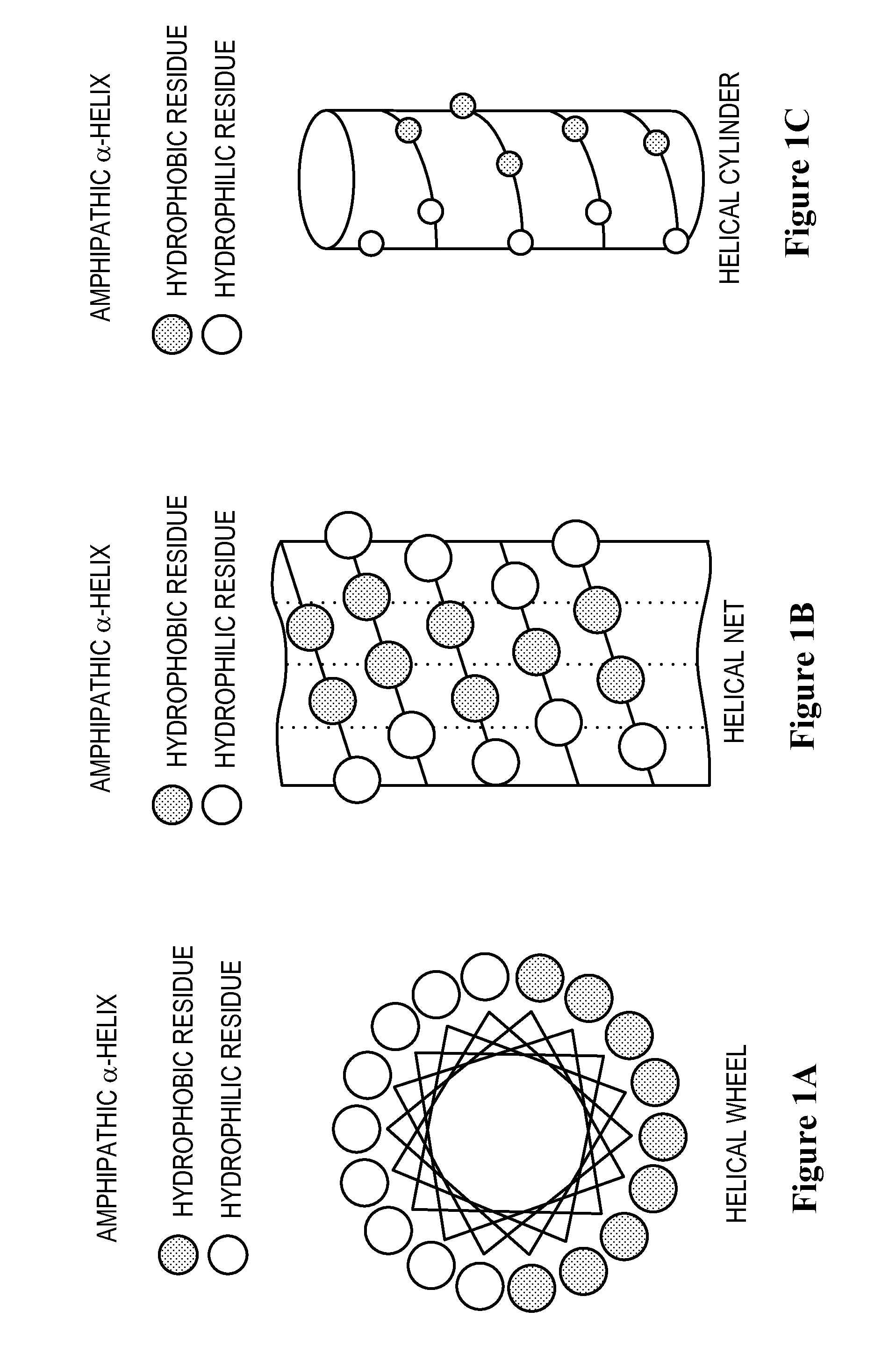 Apolipoprotein A-I mimics