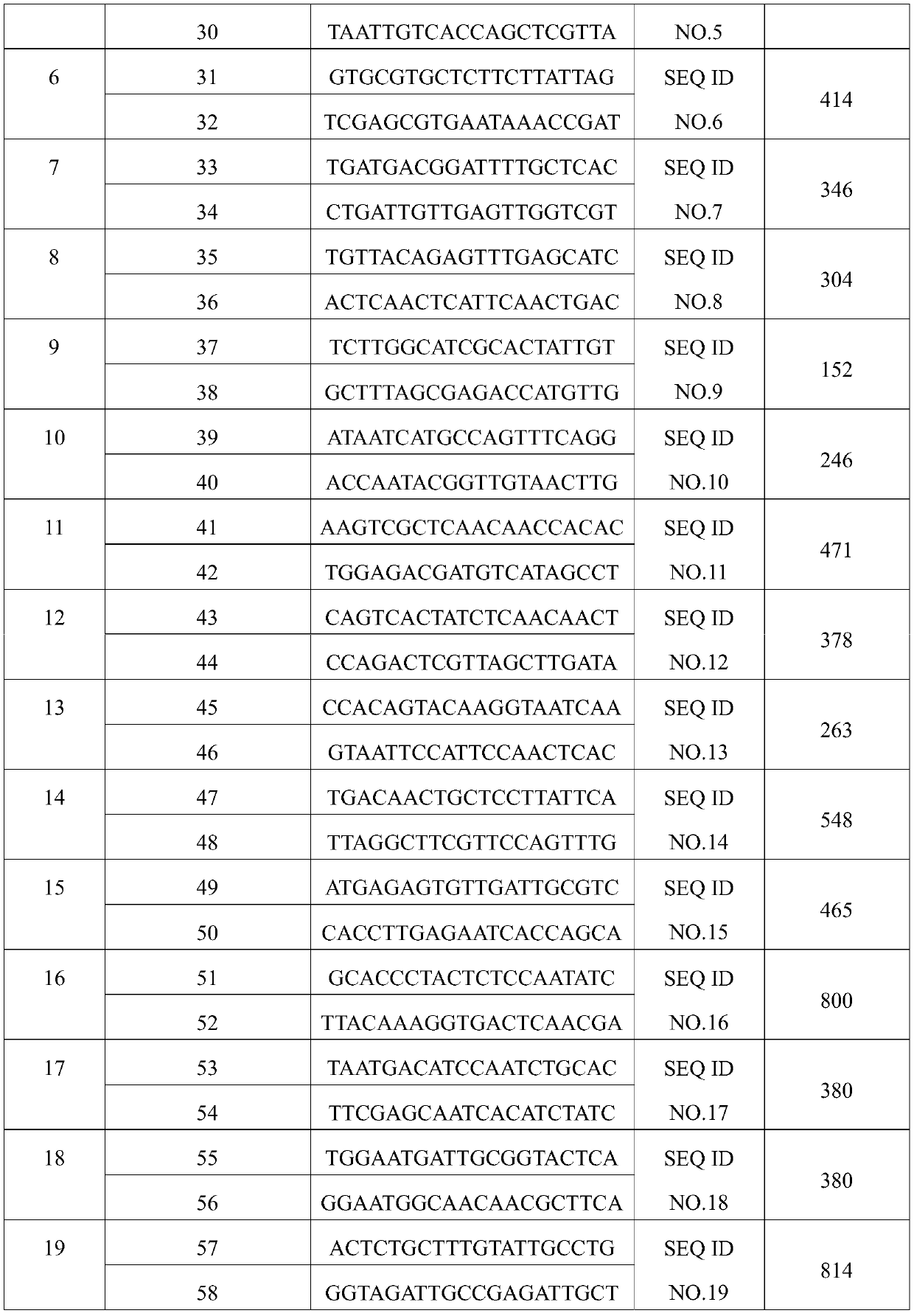 Novel specific molecular target for vibrio parahaemolyticus and rapid detection method thereof