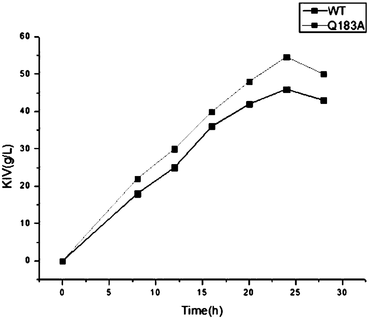 Mutant of L-amino acid oxidase