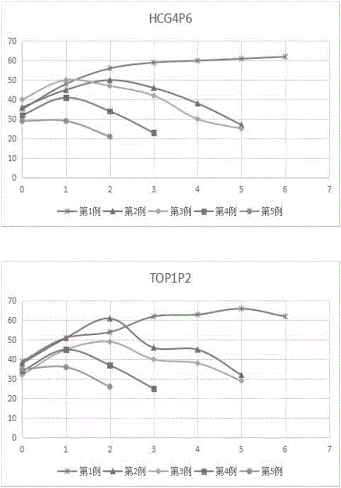 Application of molecular marker in preparing pancreatic cancer prognosis evaluation product