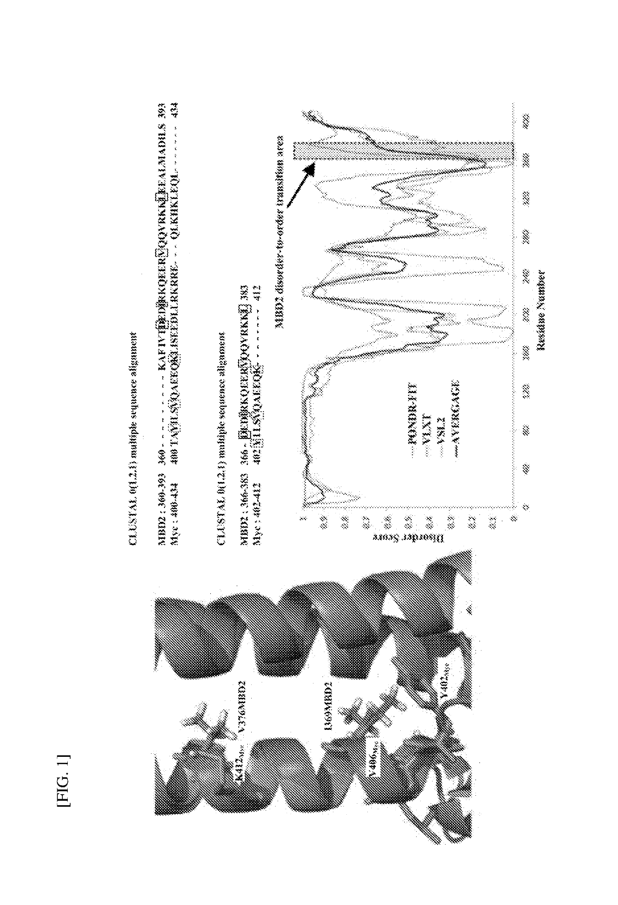 Method of discovering new drug candidate targeting disorder-to-order transition region and apparatus for discovering new drug candidate