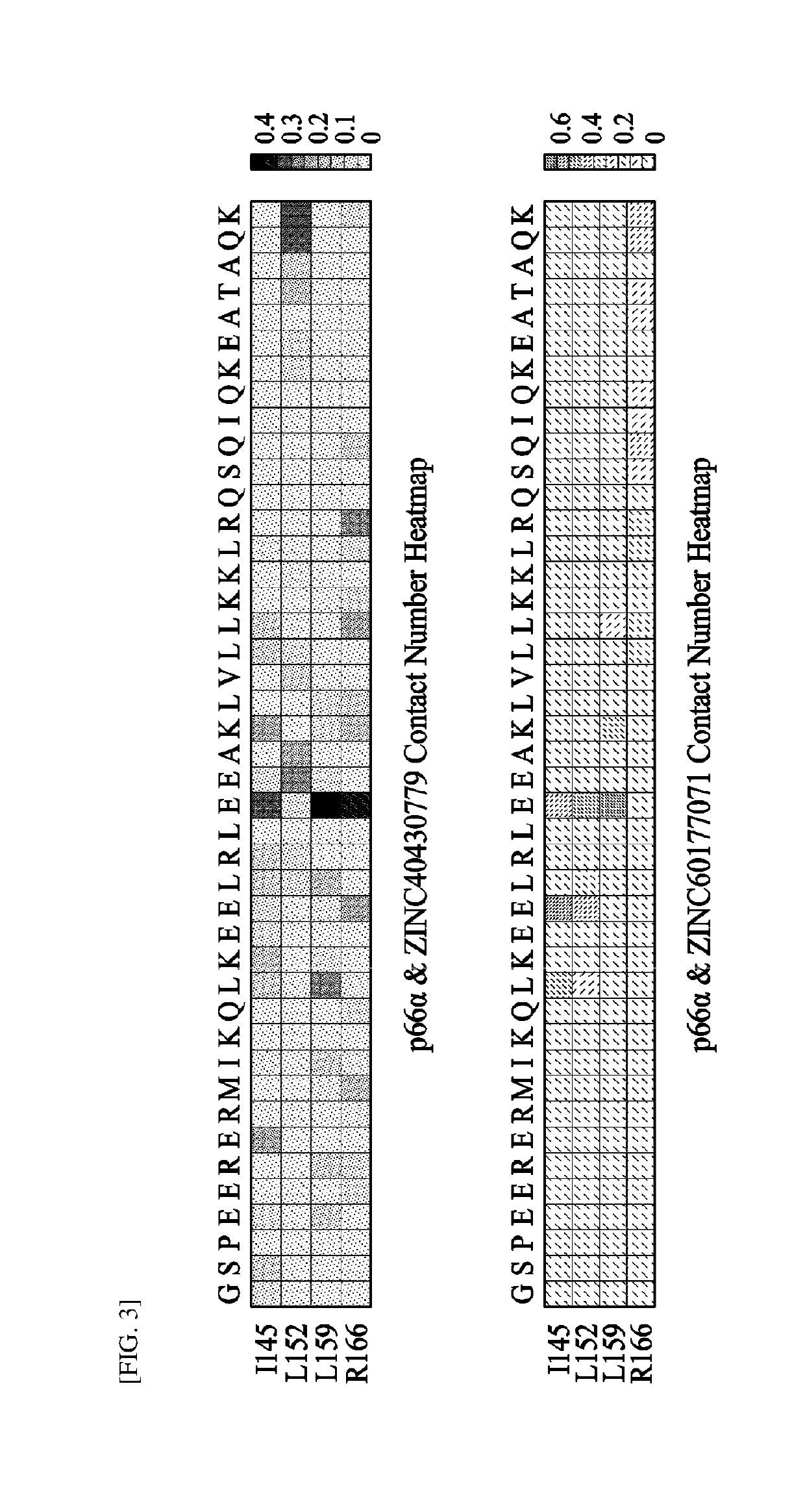 Method of discovering new drug candidate targeting disorder-to-order transition region and apparatus for discovering new drug candidate