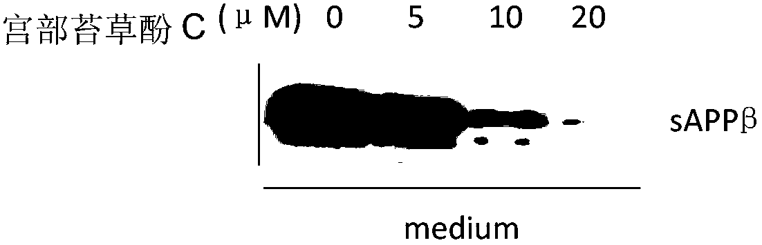 Application of polyphenol compound to preparation of pharmaceutical for treating senile dementia