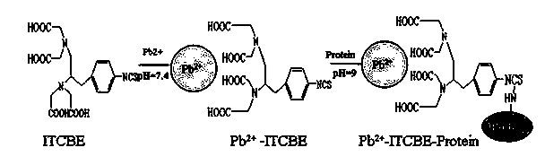 Indirect competition enzyme linked immunoreagent kit for detecting lead ions and manufacturing method thereof