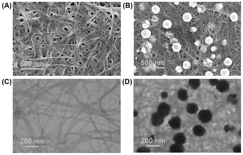 Single-walled carbon nanotube-based flexible electrode array, wearable sensor and in-situ sweat monitoring method thereof