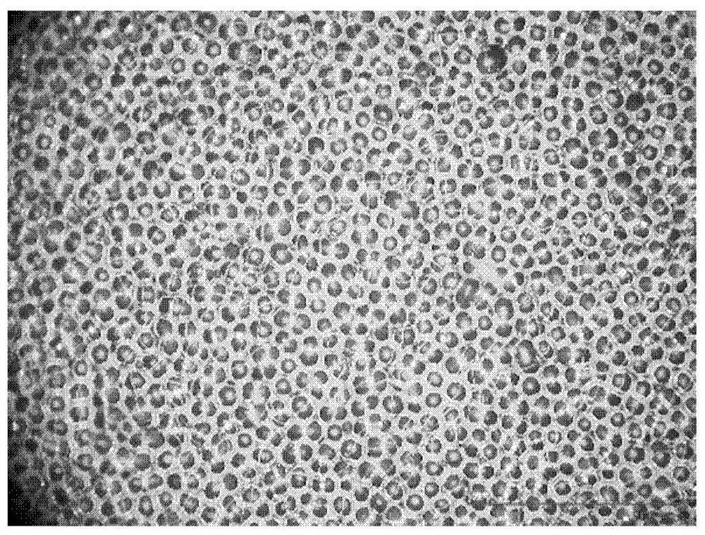 Naked eye 3D display material and preparation method thereof