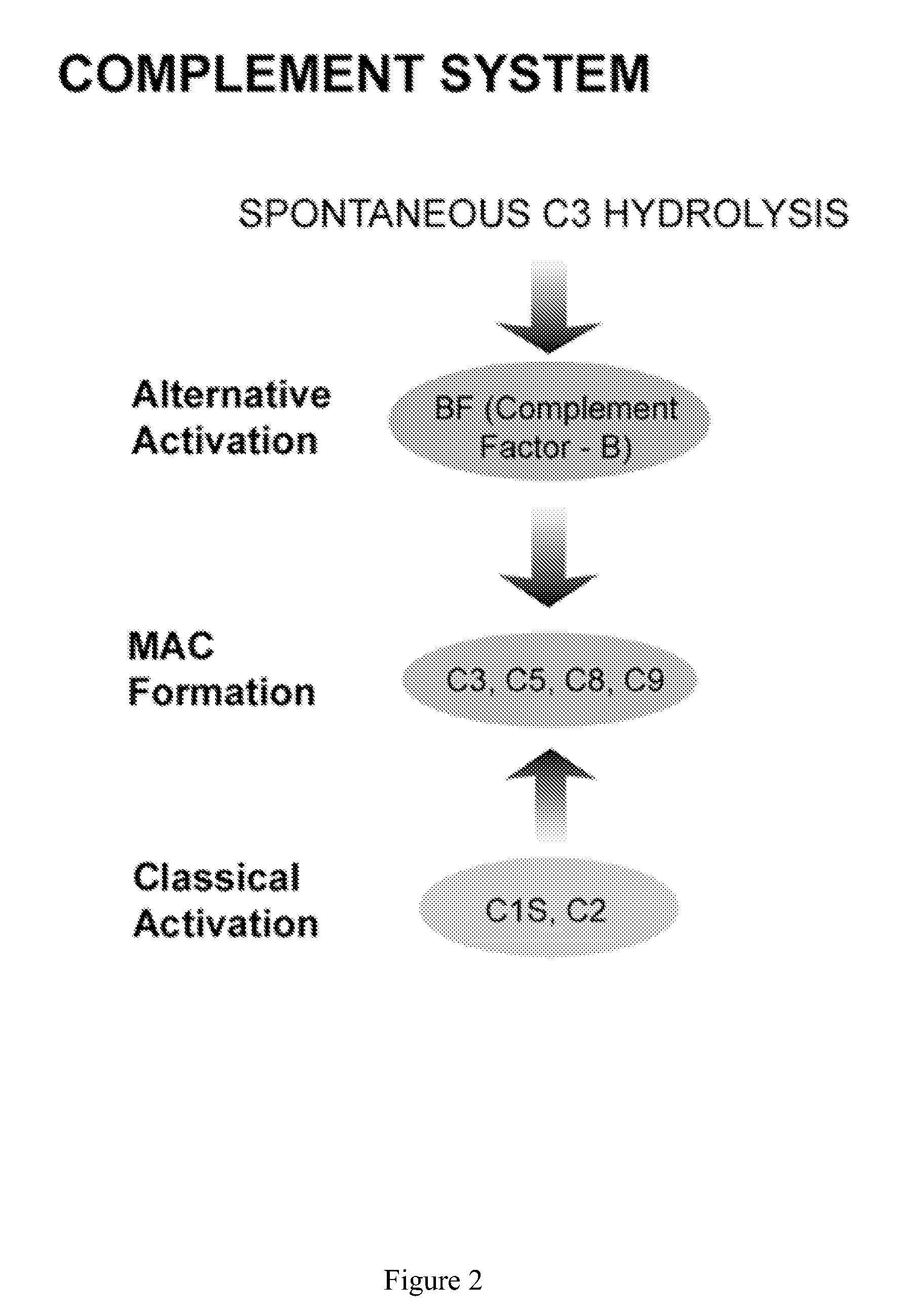 Diagnosis of sepsis