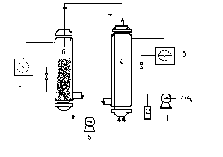 Biological-chemical dipolar reactor leaching process