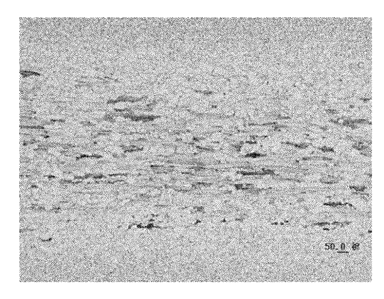 Method for preparing non-oriented silicon steel with excellent magnetic property and high efficiency