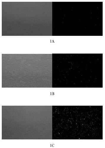 Method for determining biological activity of human IL-36/IL36R/IL1RAcP pathway inhibitor