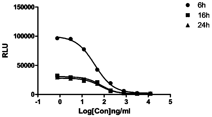 Method for determining biological activity of human IL-36/IL36R/IL1RAcP pathway inhibitor