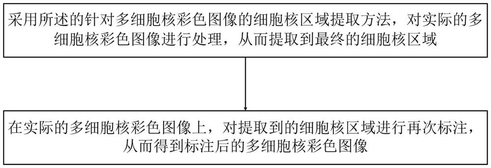 Cell nucleus region extraction method and imaging method for multi-cell nucleus color image