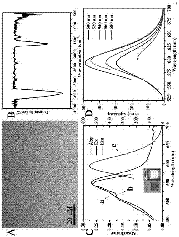 Fluorescent carbon quantum dot and application