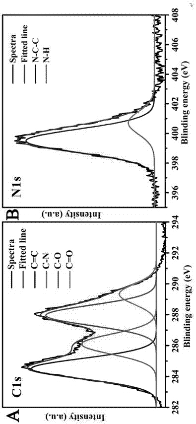 Fluorescent carbon quantum dot and application