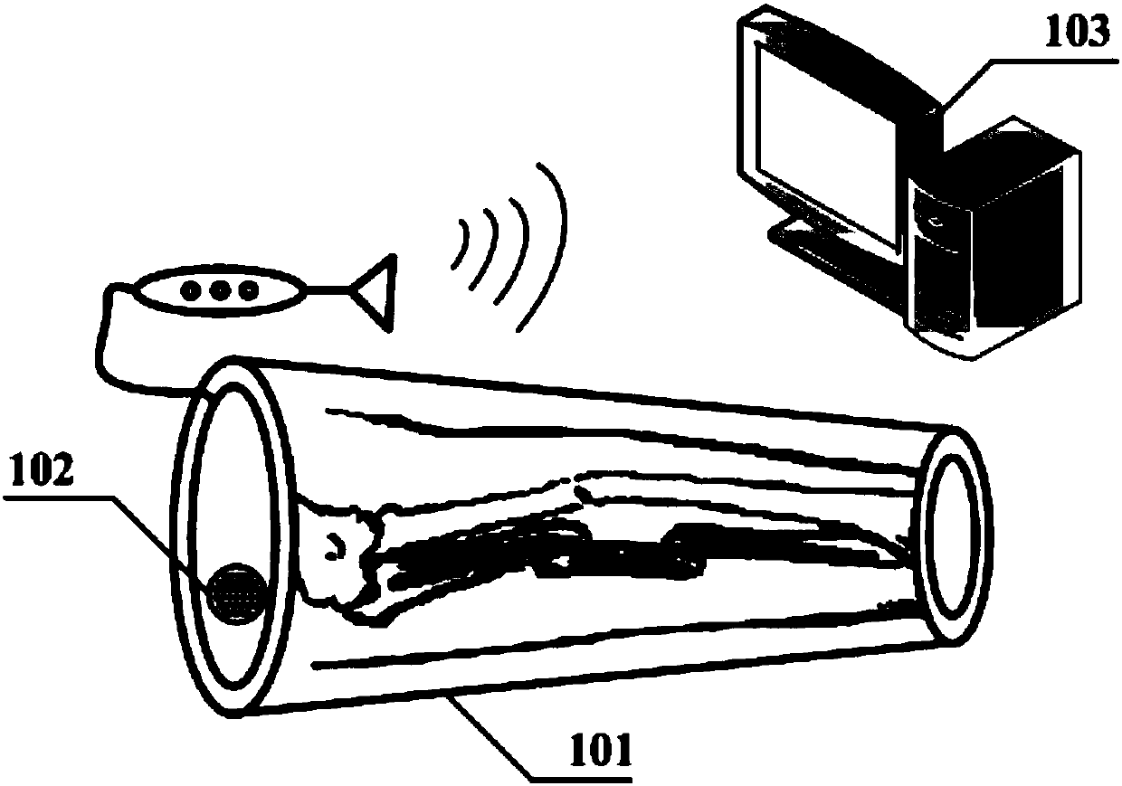 Bone tissue non-invasive detection method and device based on dynamic magnetic excitation ion spectroscopy