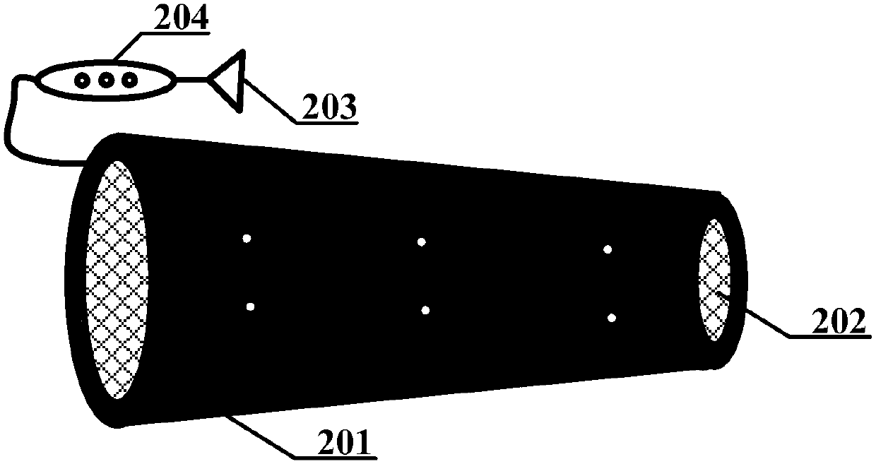 Bone tissue non-invasive detection method and device based on dynamic magnetic excitation ion spectroscopy