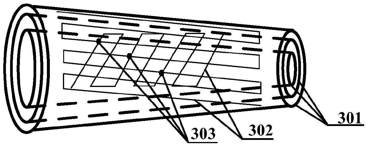 Bone tissue non-invasive detection method and device based on dynamic magnetic excitation ion spectroscopy