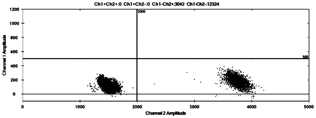 Primers, probes and kit for detecting 19-Del mutation of epidermal growth factor receptor (EGFR) gene