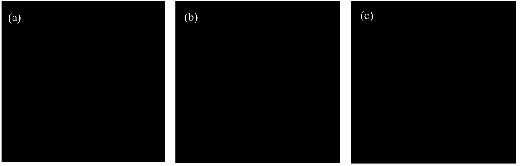 Beam splitter prism and method and device for detecting topological charge of vortex beam