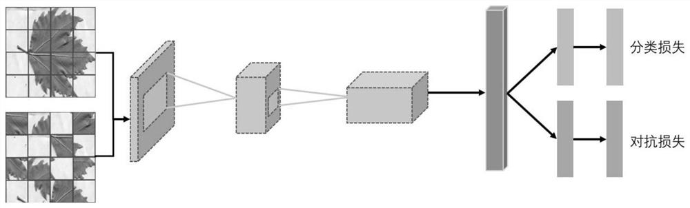 Plant leaf recognition system based on jigsaw disordered data disturbance mechanism