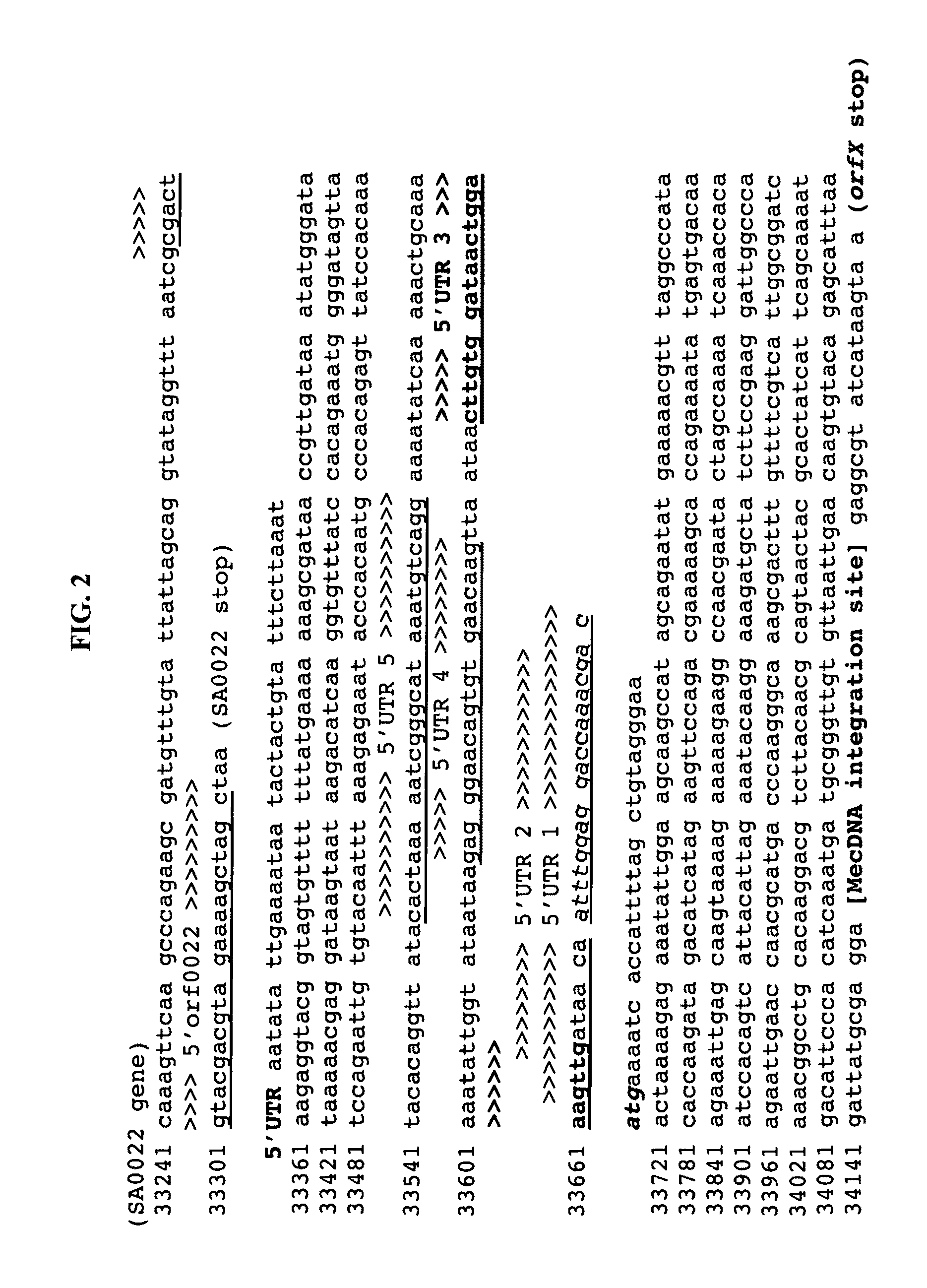 Method of determining types I, II, III, IV or V or methicillin-resistant staphylococcus aureus (MRSA) in a biological sample