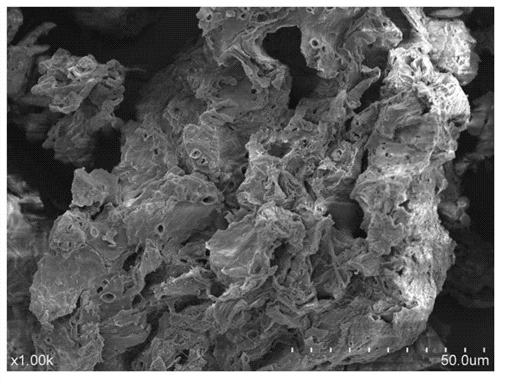 Method for preparing high-efficiency fluorine removal agent from solid wastes