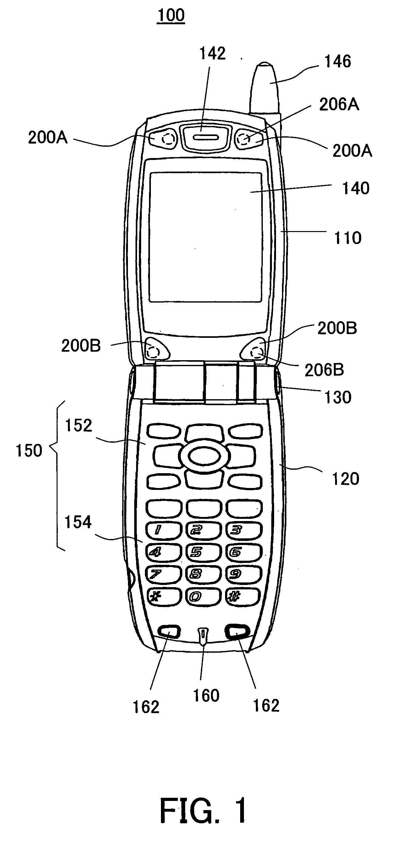 Shield that hides predetermined member and electronic apparatus having the shield