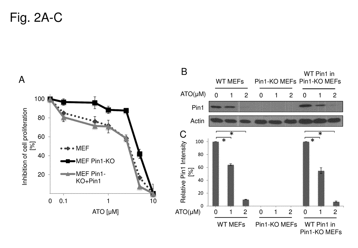 Arsenic trioxide for treatment of pin1-associated disorders