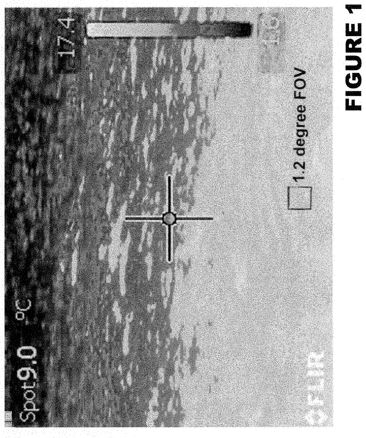 Apparatus and methods for remote measurement of sea surface temperature