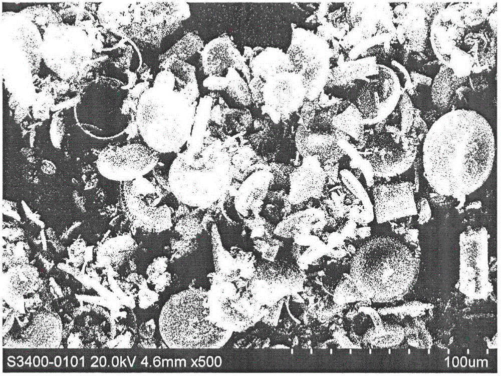 Method for preparing high-quality diatomite by oscillation-based hydrochloric acid process