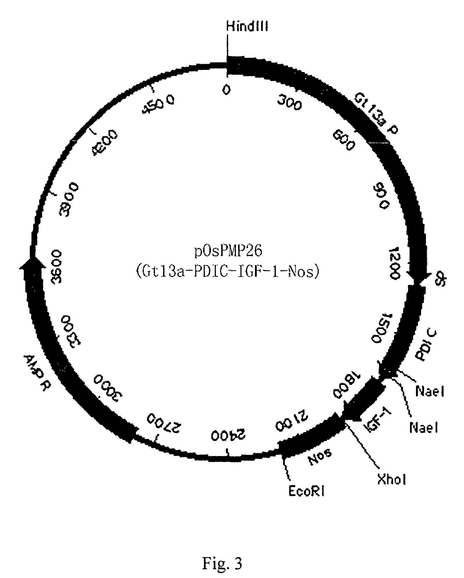 Method of expressing small peptides using cereal non-storage proteins as fusion carrier in endosperm and the use thereof