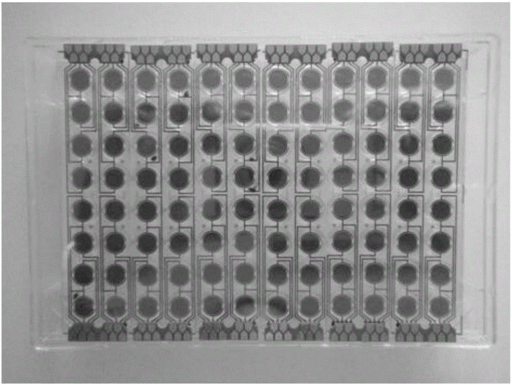 Detection kit for listeria monocytogenes in food and application method