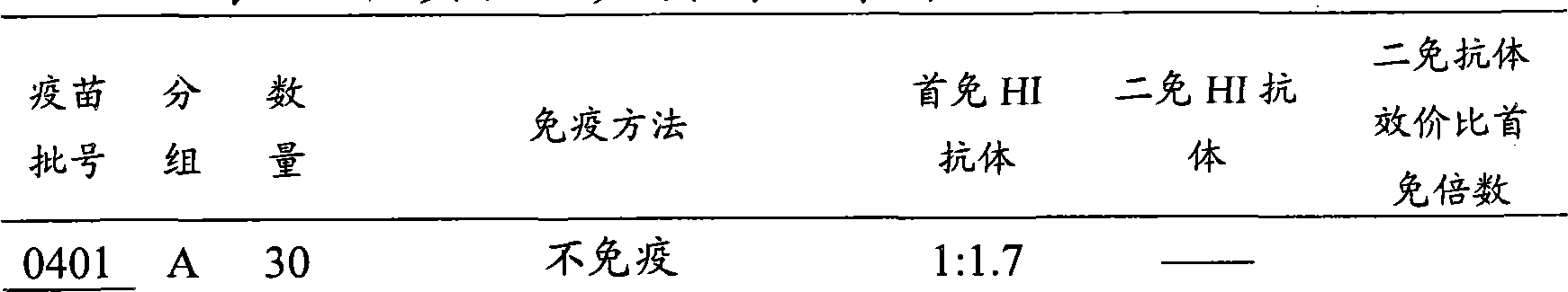 Efficacy test method of infectious bronchitis vaccines and application thereof