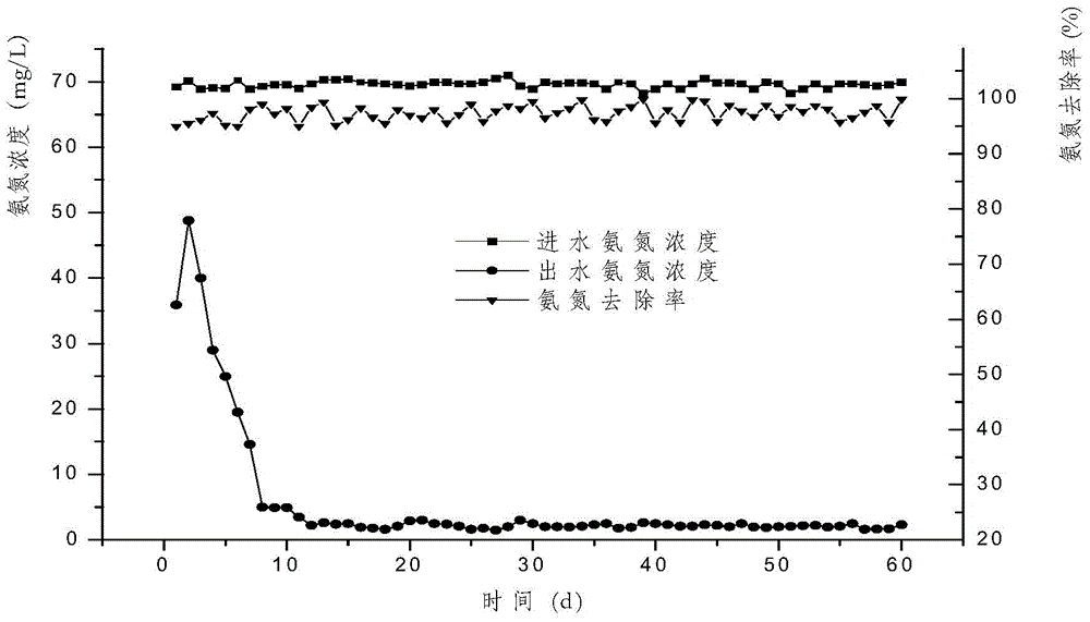 Preparation and application of nitrifying bacteria immobilized bioactive filler based on polyurethane carrier