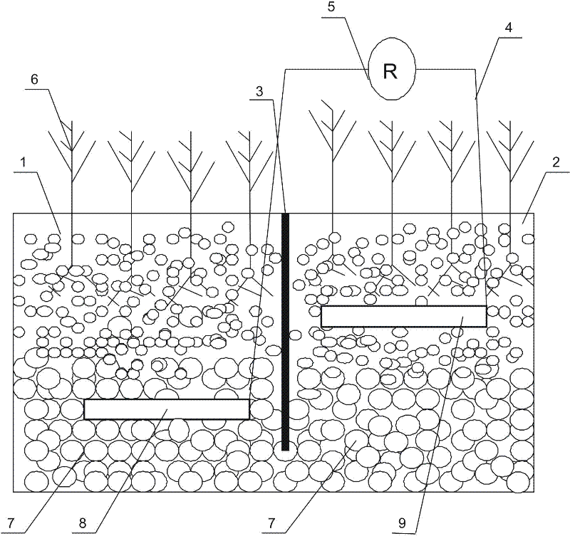 A microbial fuel cell device with aquatic plant electrodes in constructed wetlands