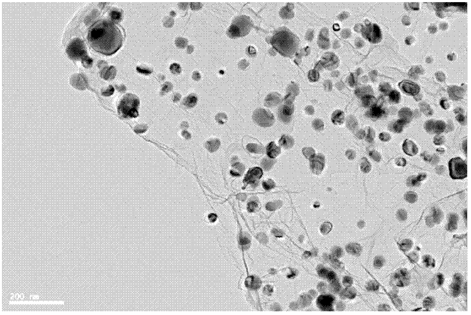 Preparation method for nickel/graphene nanometer compound material