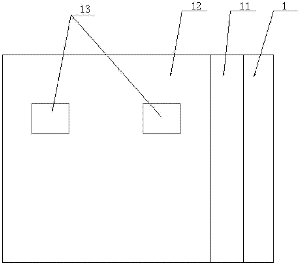 Device and method for carrying out in-situ observation on electric domain structure of ferroelectric material before and after electric field action