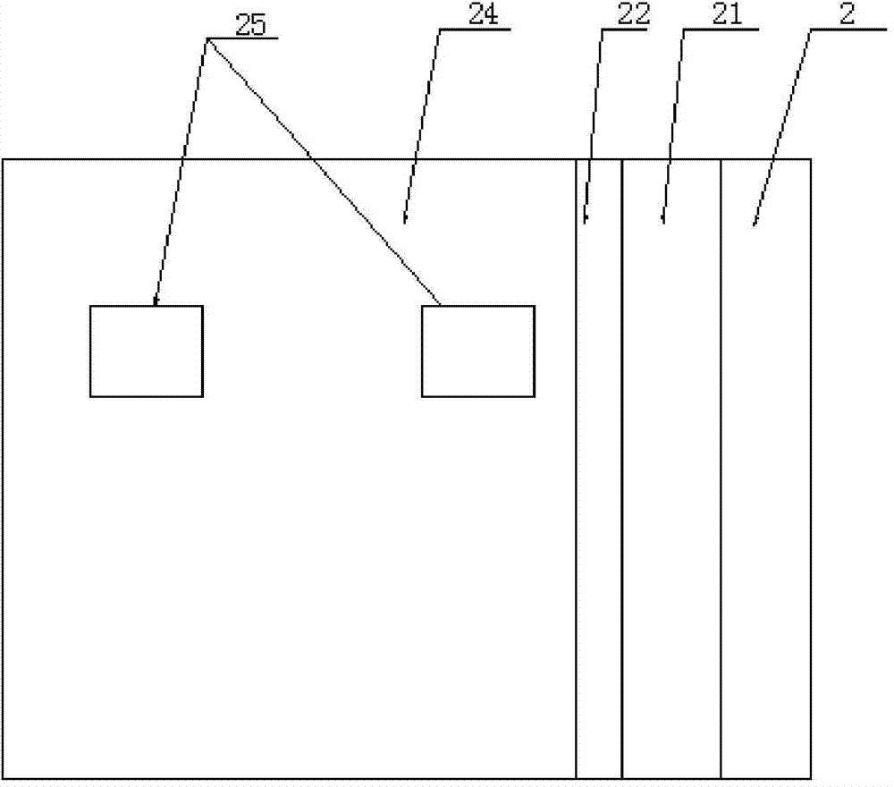 Device and method for carrying out in-situ observation on electric domain structure of ferroelectric material before and after electric field action