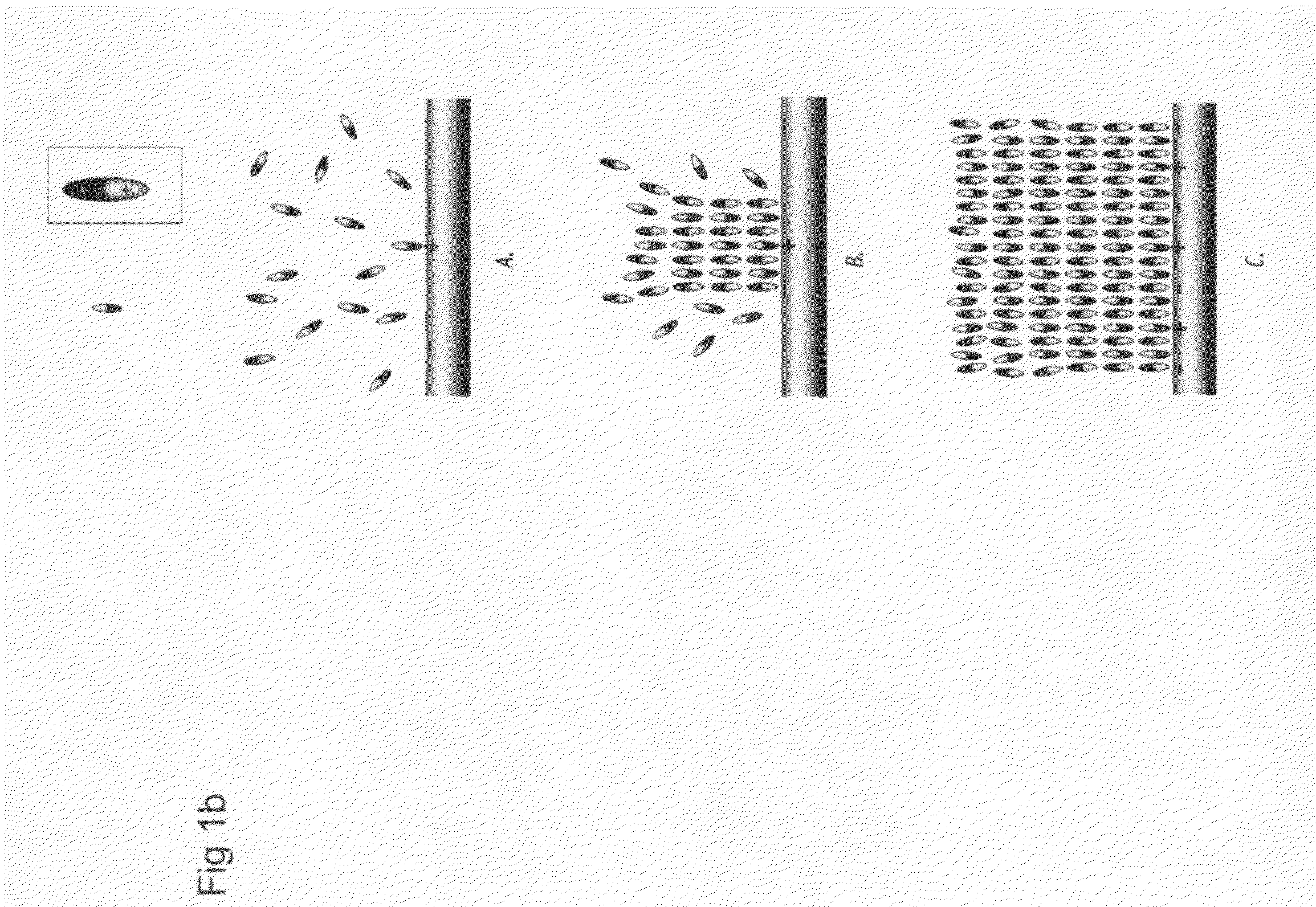 Nanoscale array biomolecular bond enhancer device