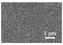 Cornea scaffold material and preparation method thereof and 3D printing method of cornea scaffold