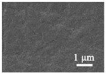 Cornea scaffold material and preparation method thereof and 3D printing method of cornea scaffold