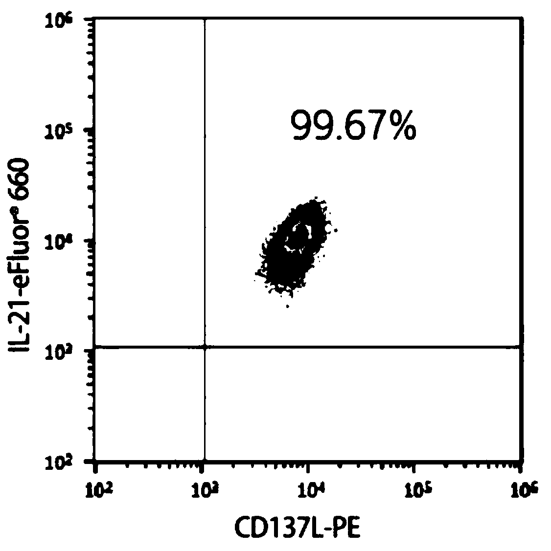 A method for efficiently expanding NK cells in vitro and its application