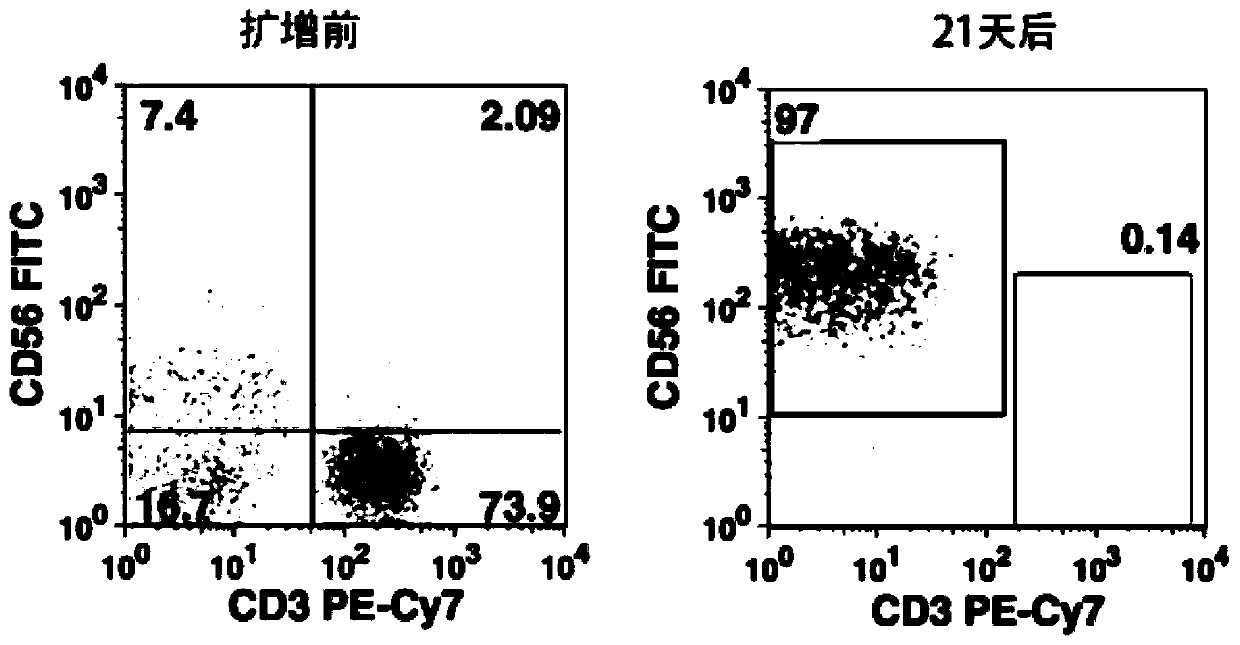 A method for efficiently expanding NK cells in vitro and its application