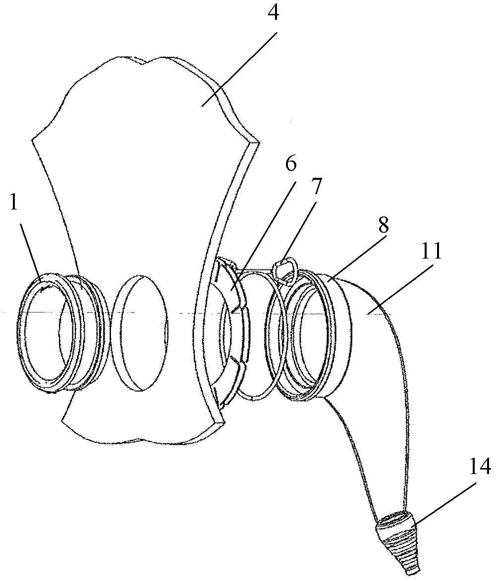 Diaper suitable for urine collecting device