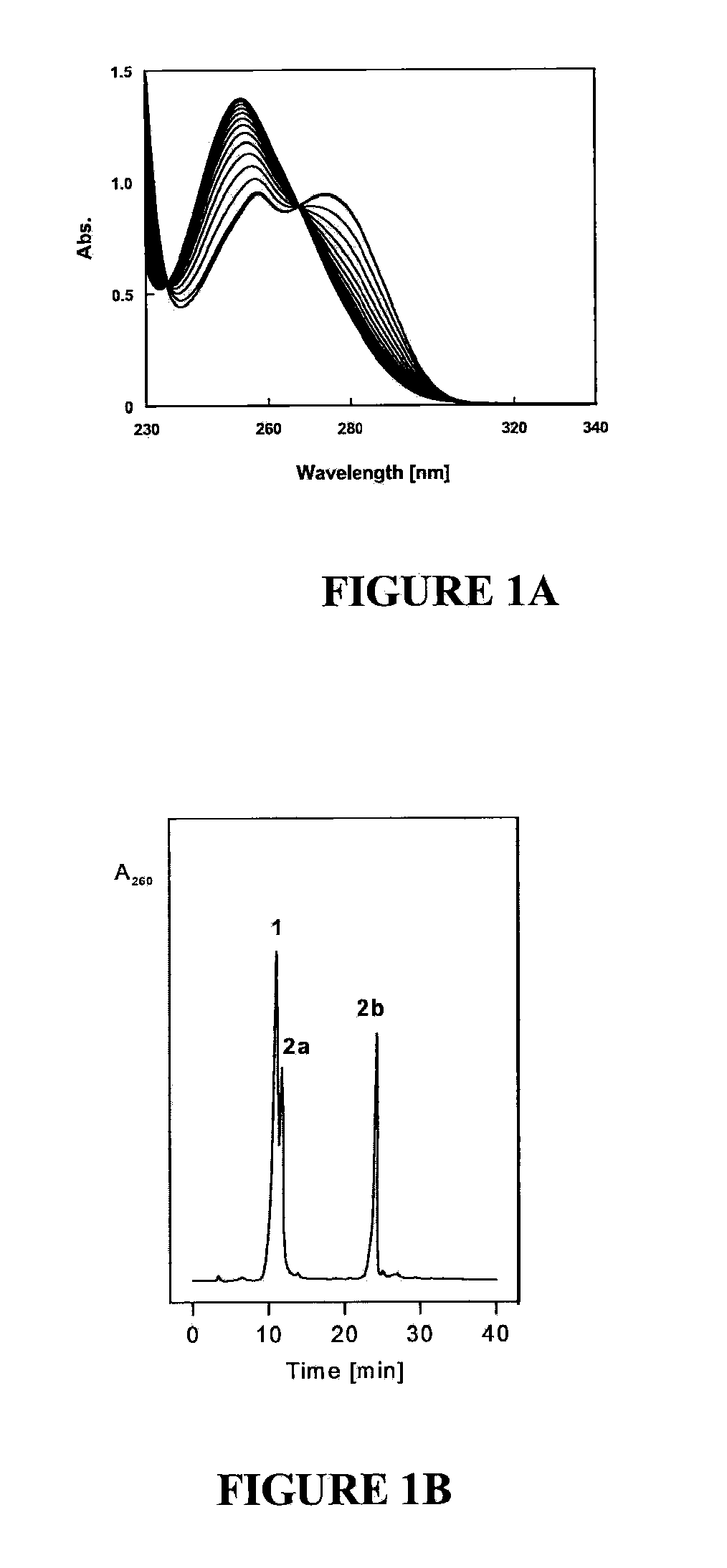 Nucleic Acid Binding Compounds Containing Pyrazolo[3,4-D]Pyrimidine Analogues of Purin-2,6-Diamine and Their Uses