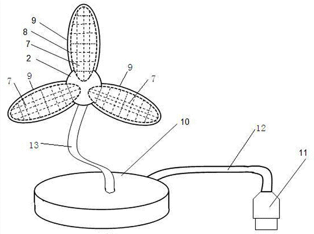 Dust removing device and chassis adopting dust removing device