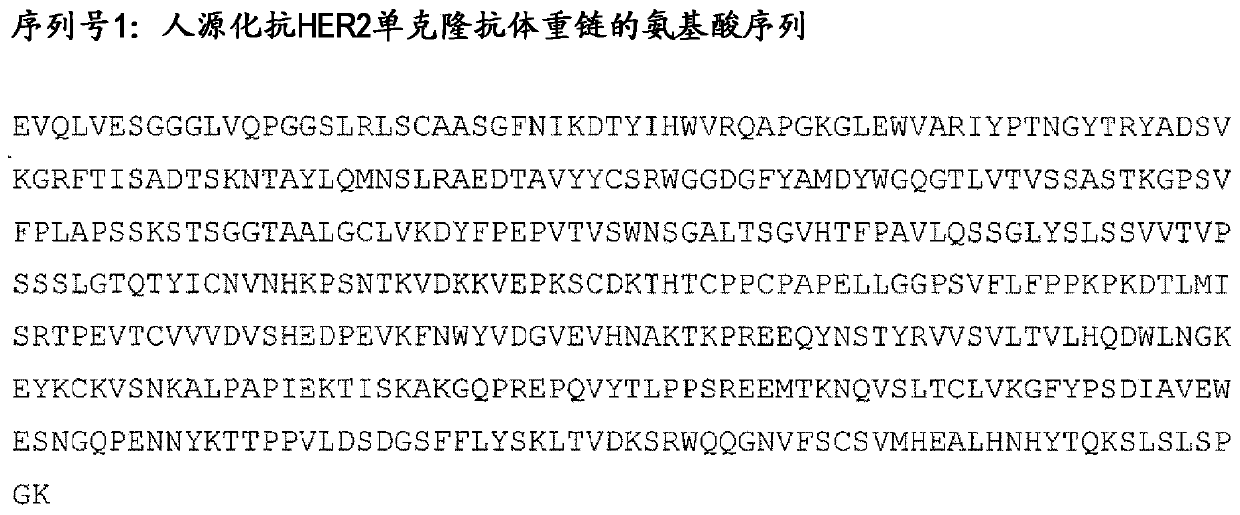 Therapy for drug-resistant cancer by administration of anti-HER2 antibody/drug conjugate