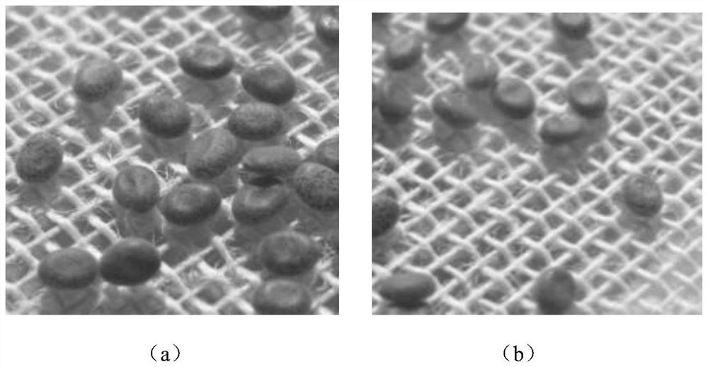 A fast and non-destructive method for constructing a Raman spectral model of silkworm eggs for identification and release of diapause