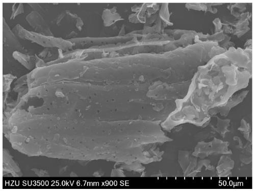 Preparation method of biomass carbon material for solar evaporated water and application of biomass carbon material