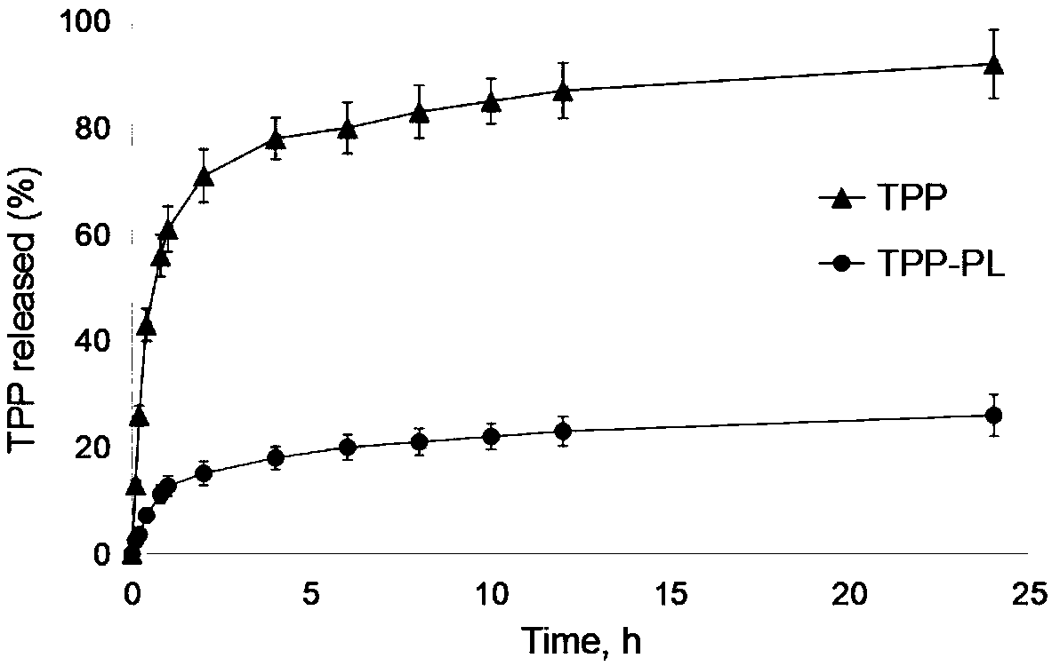 Preparation method and detection method of phospholipid tea polyphenol dried fish floss